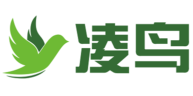 凌鸟（苏州）智能系统有限公司