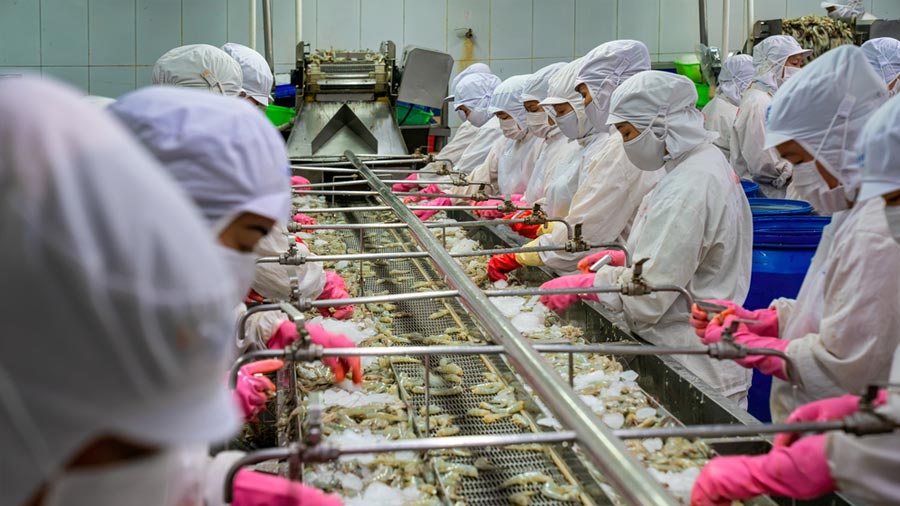 越南食品加工公司和欧盟投资者：快速指南