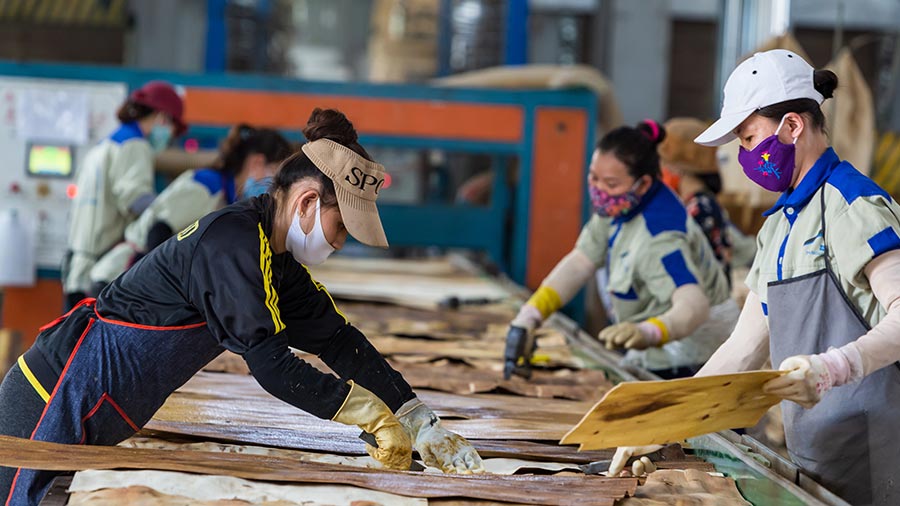 2021年至2030年批准的BAC NINH总体计划