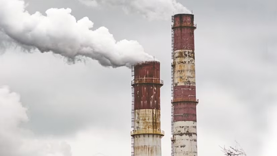 CBAM越南：挑战和机遇