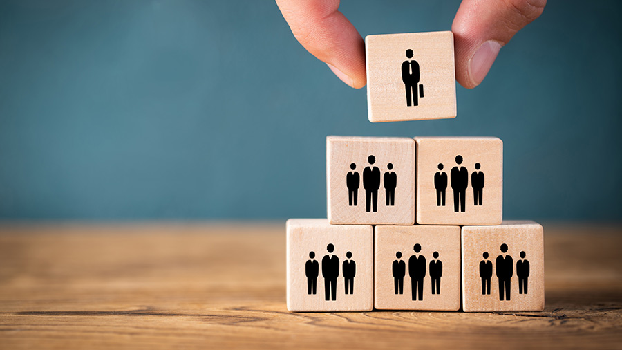 重组您的越南公司以生存，稳定和成功