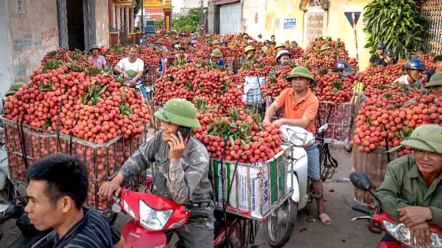 BAC GIANG：新兴的投资目的地