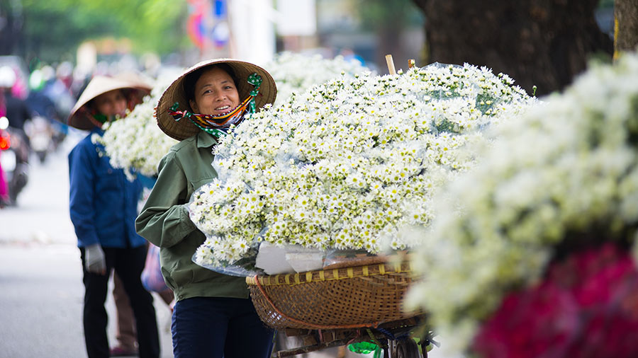 越南的投资区：中小企业的策略