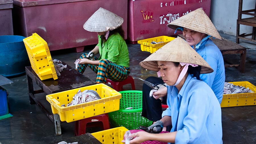 促进越南中小企业的增长