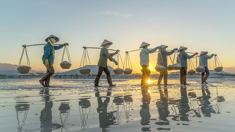 越南的市场进入选择