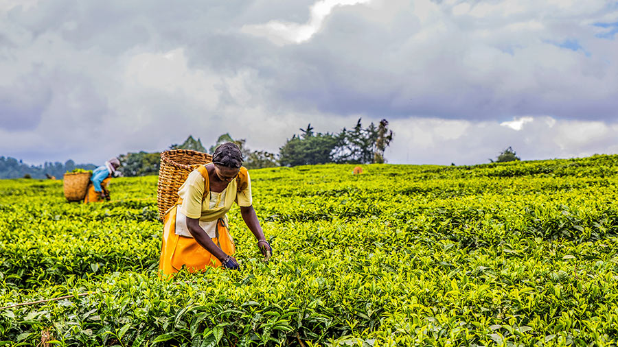 越南：亚洲最好的采购目的地