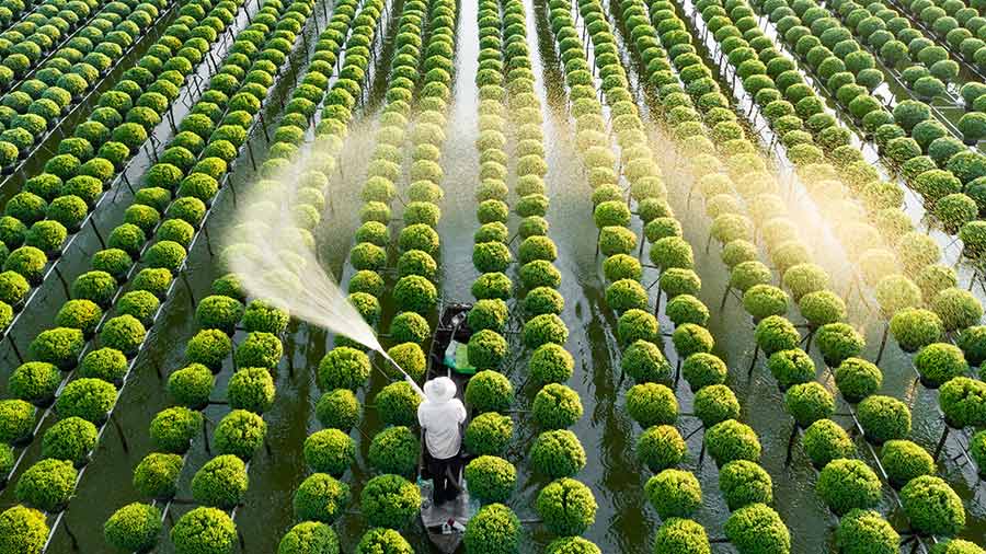 问与答：所有关注越南：为什么2022年是投资的理想时机？