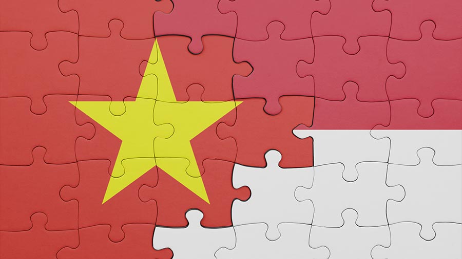 越南 - 印度尼西亚综合战略伙伴关系：未来前景