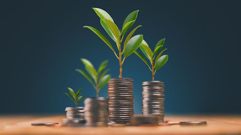 了解越南针对绿色投资项目的新标准