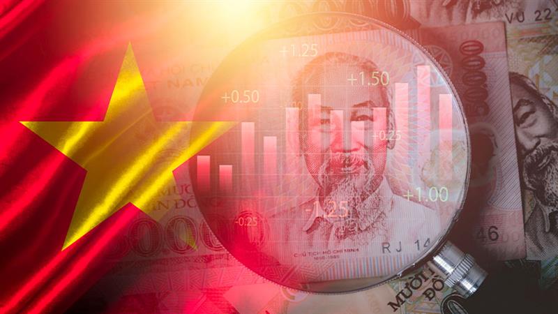 越南省级合并推动增长：企业的机遇