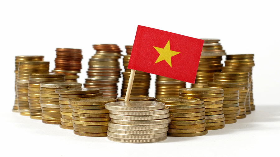 越南税法：解释者