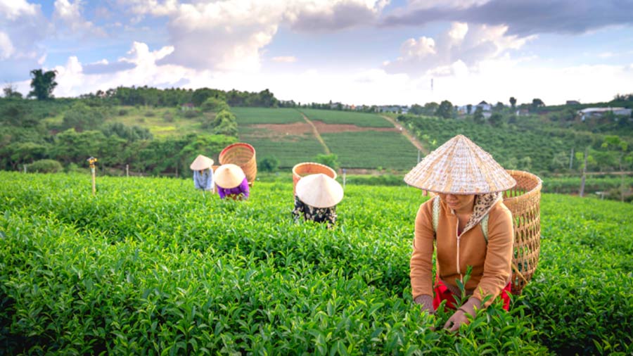 太原省2021年至2030年发展总体规划