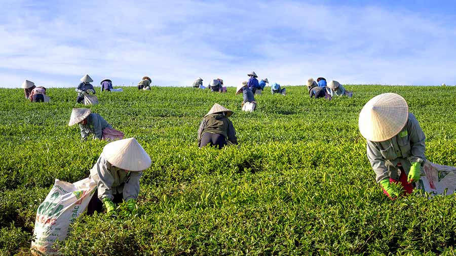 2019年劳动力总量指数——越南劳动力面临的三大挑战