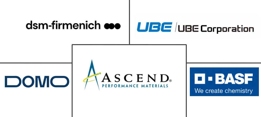 南美聚酰胺市场规模及份额