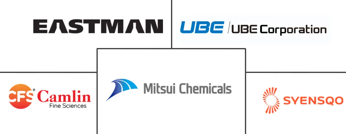 对苯二酚市场规模和份额