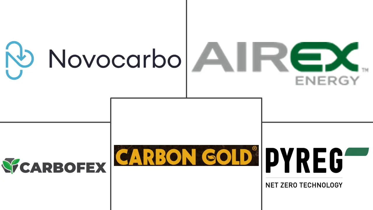 欧洲生物炭市场规模和份额