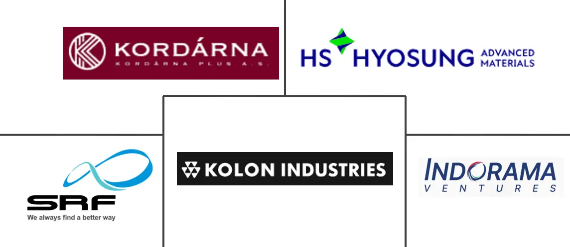 帘子布市场规模及份额