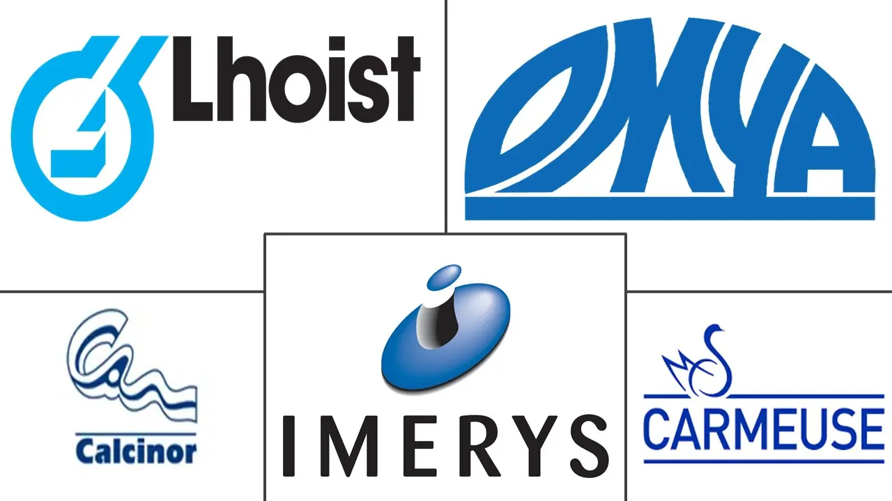 白云石市场规模和份额