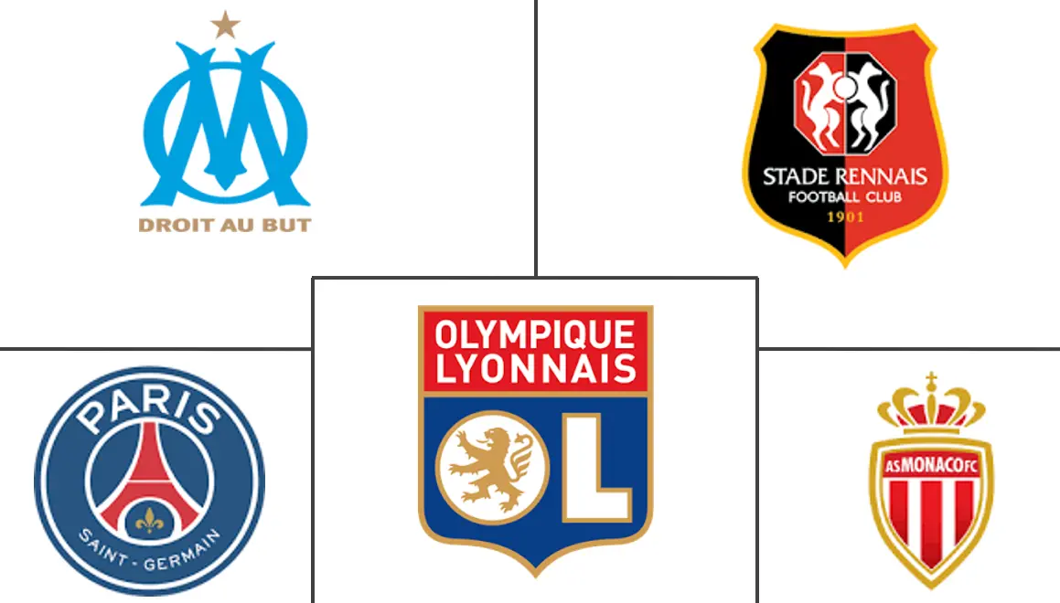 法国运动队和俱乐部市场规模