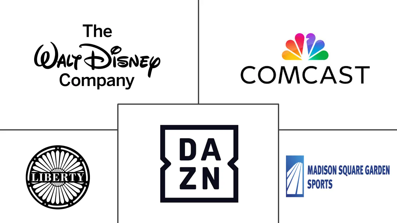 观赏性体育市场规模和份额