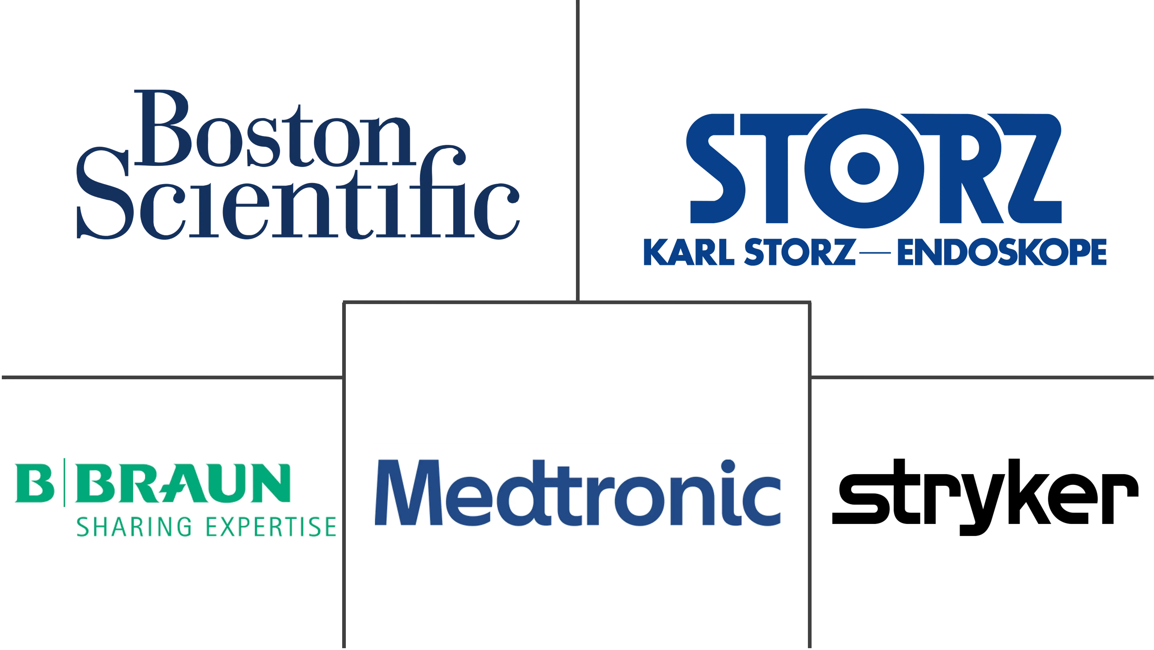 德国内窥镜设备市场规模及份额