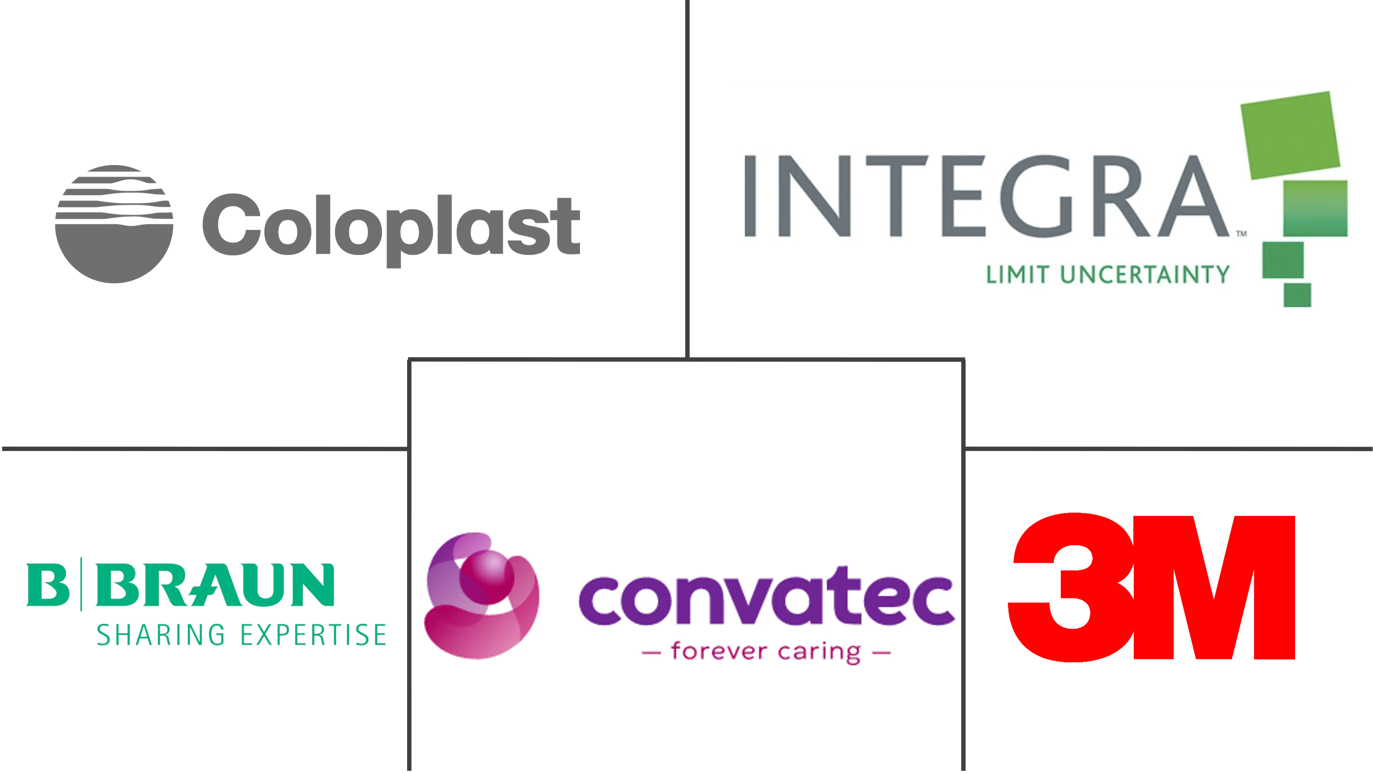 银伤口敷料市场规模和份额