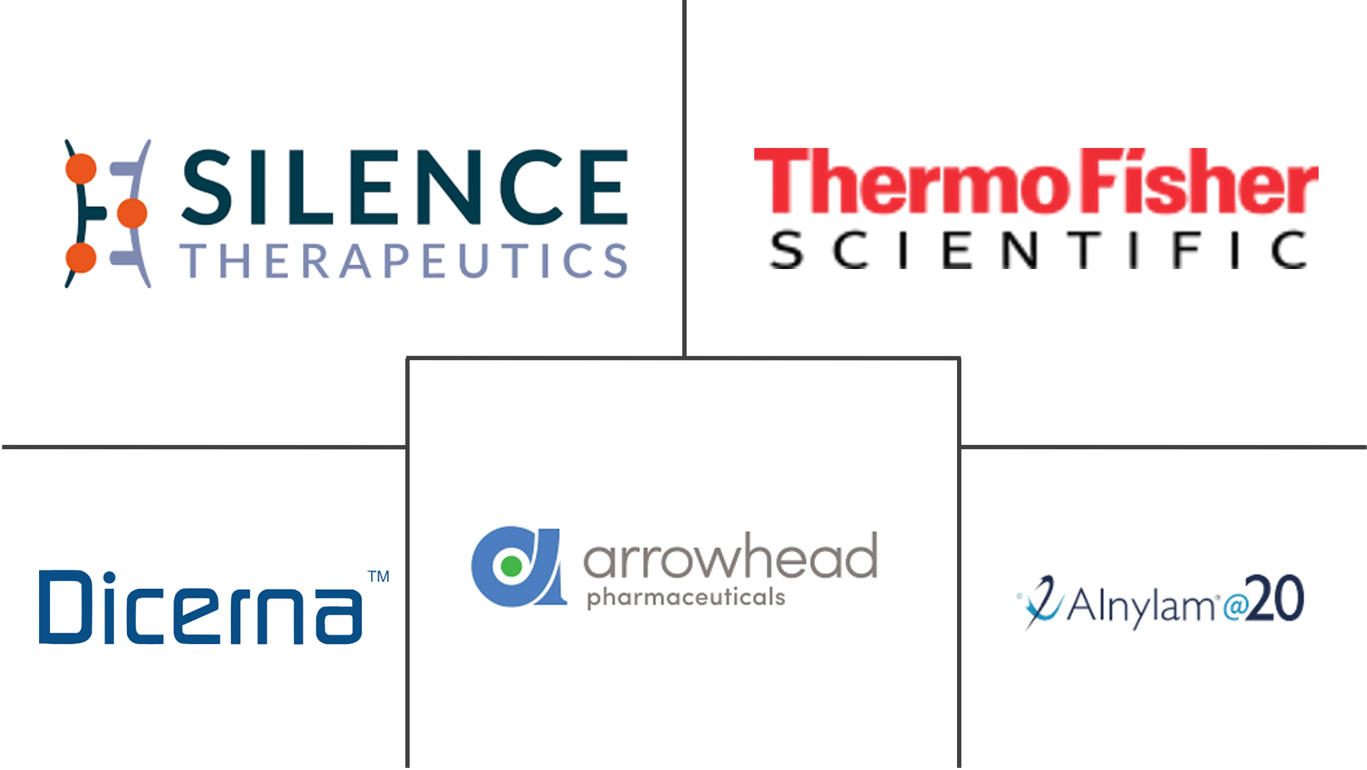 RNA 干扰 (RNAi) 市场规模和份额
