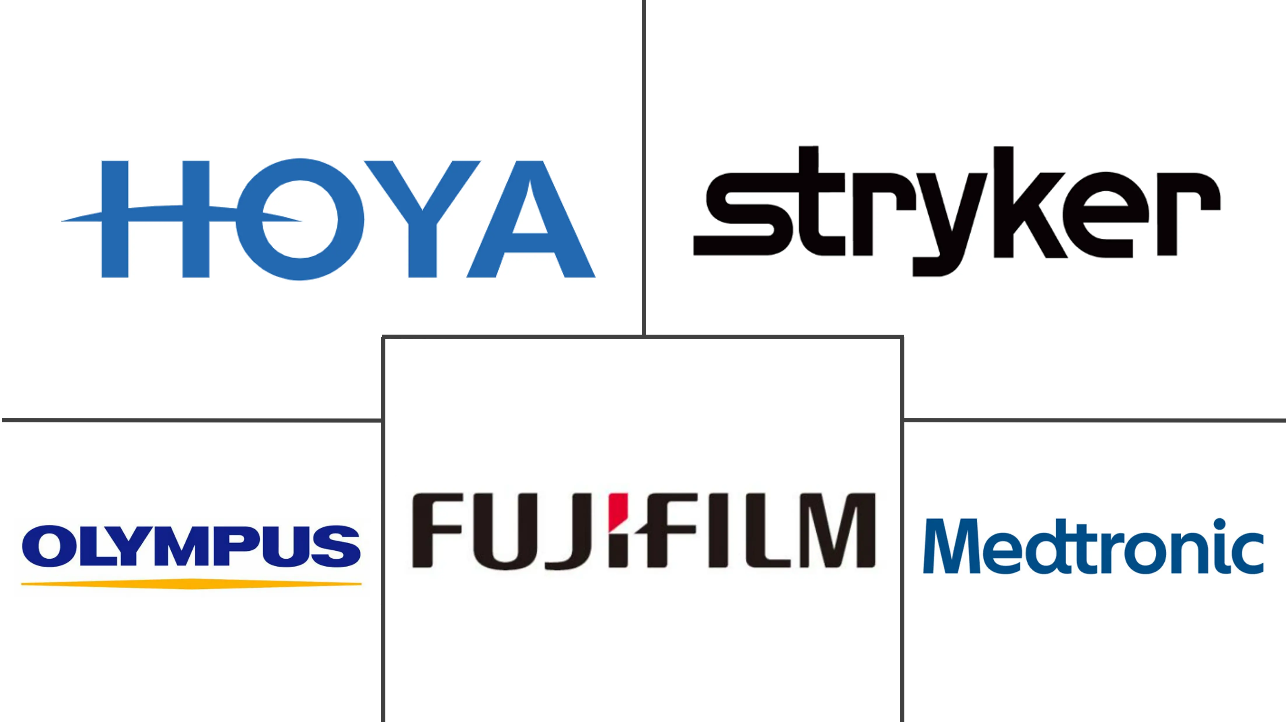 澳大利亚内窥镜设备市场规模和份额