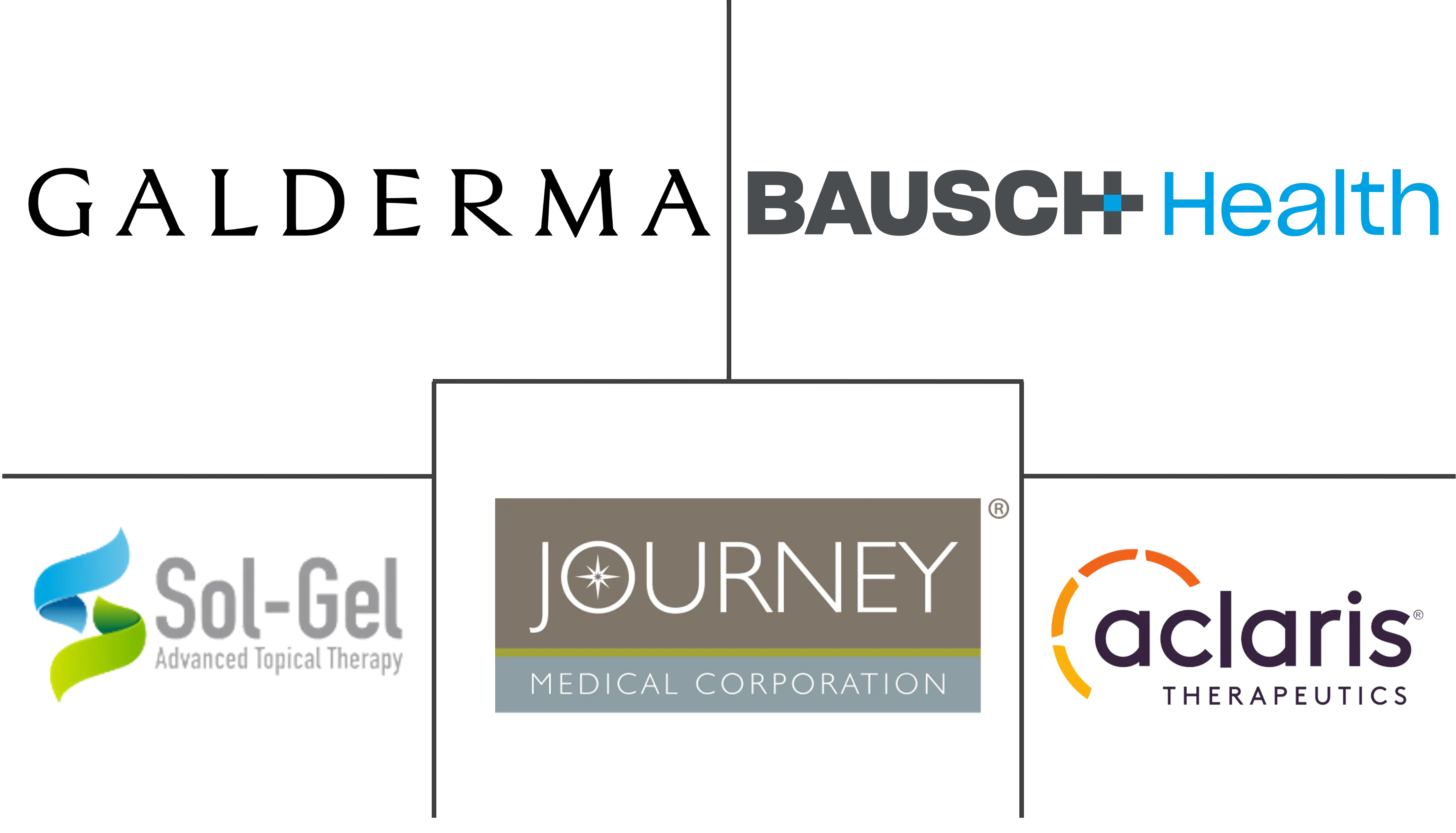 红斑痤疮市场规模和份额