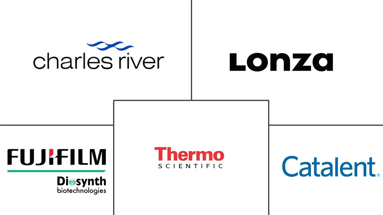 病毒载体制造市场规模和份额