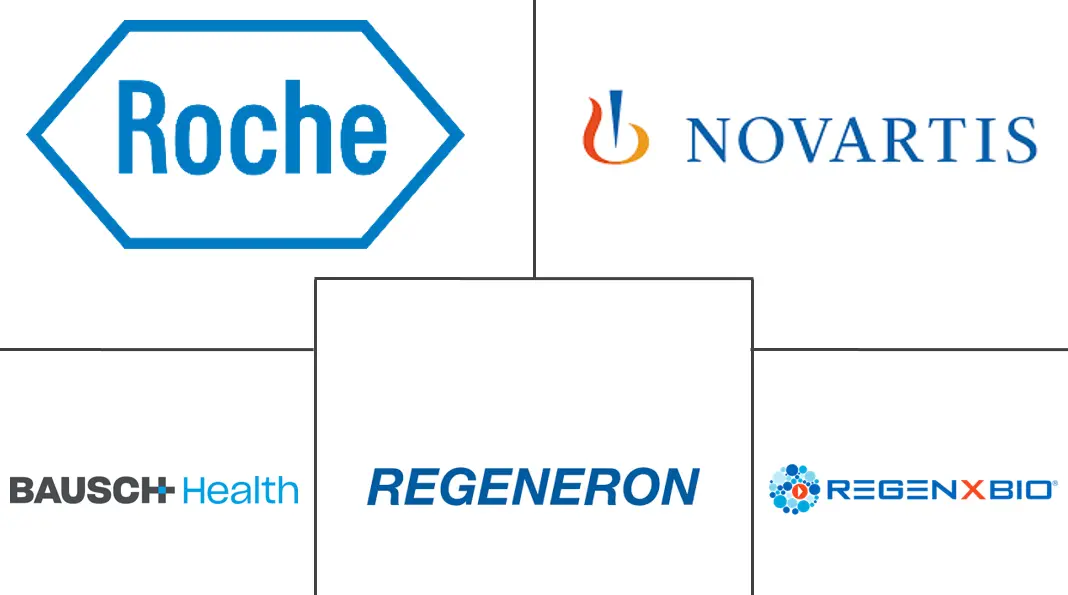 黄斑变性治疗市场规模和份额