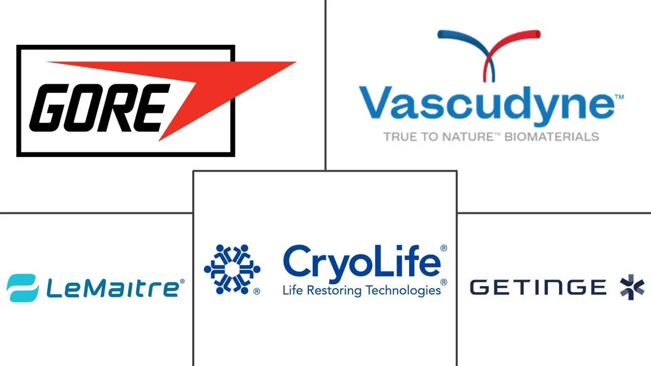 血液透析血管移植市场规模和份额