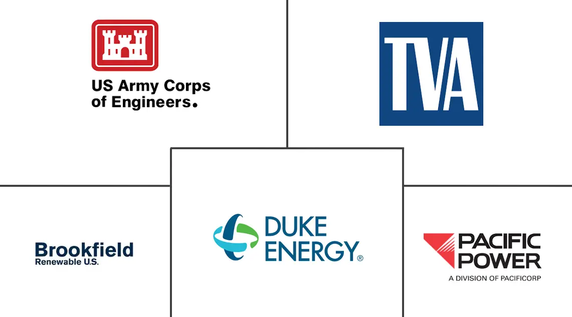 美国水电市场规模及份额