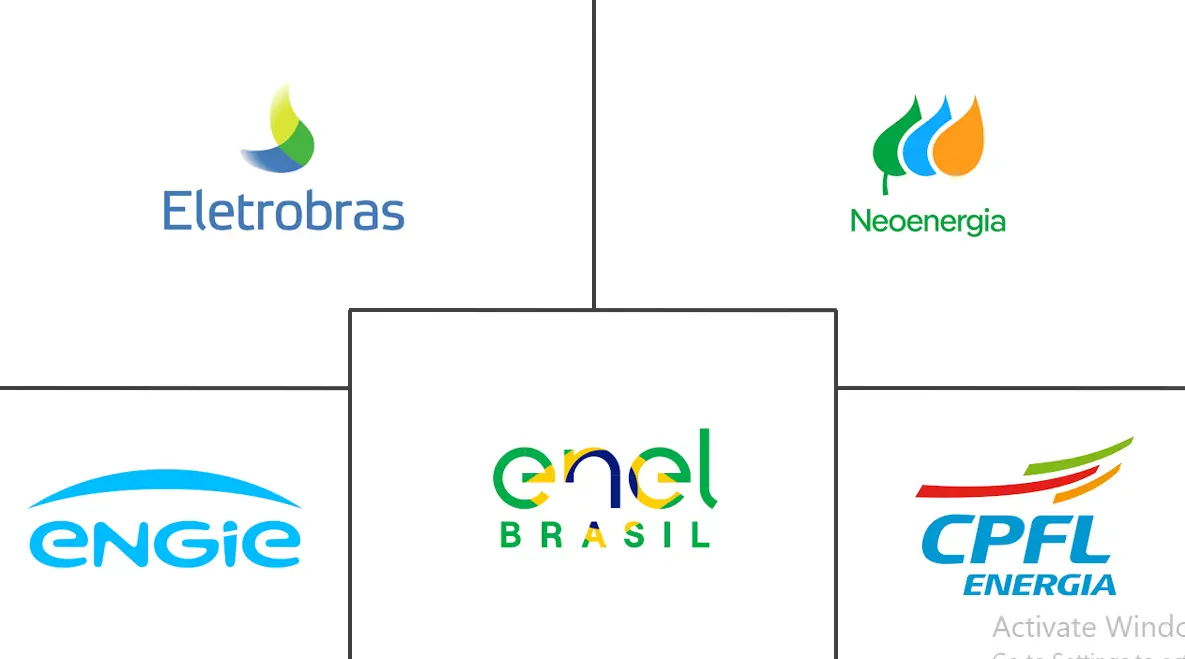 巴西电力市场规模和份额