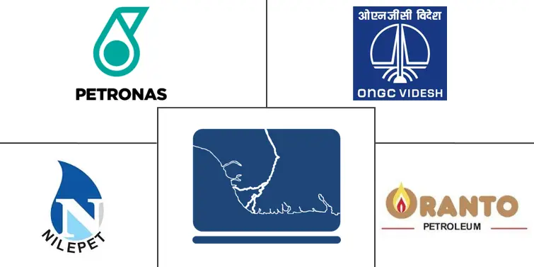 南苏丹油气上游市场规模及份额