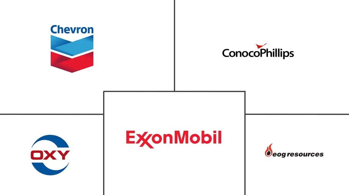 美国石油和天然气市场规模和份额