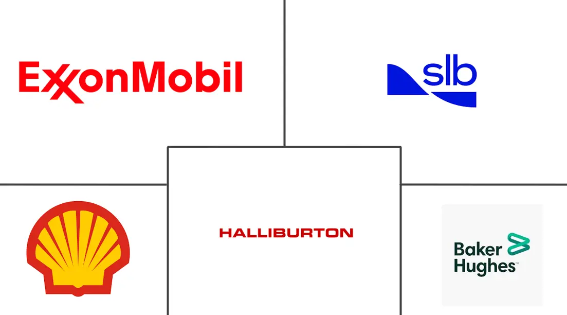 提高石油采收率 (EOR) 市场规模和份额