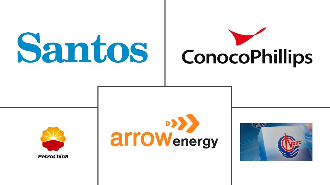 煤层气 (CBM) 市场规模和份额