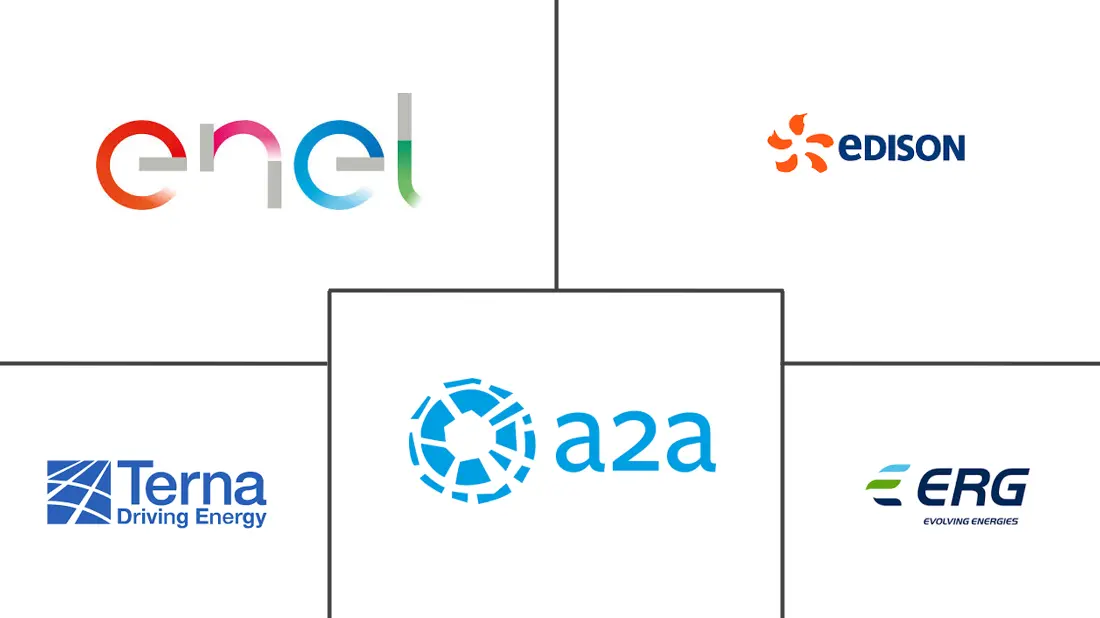 意大利电力市场规模和份额