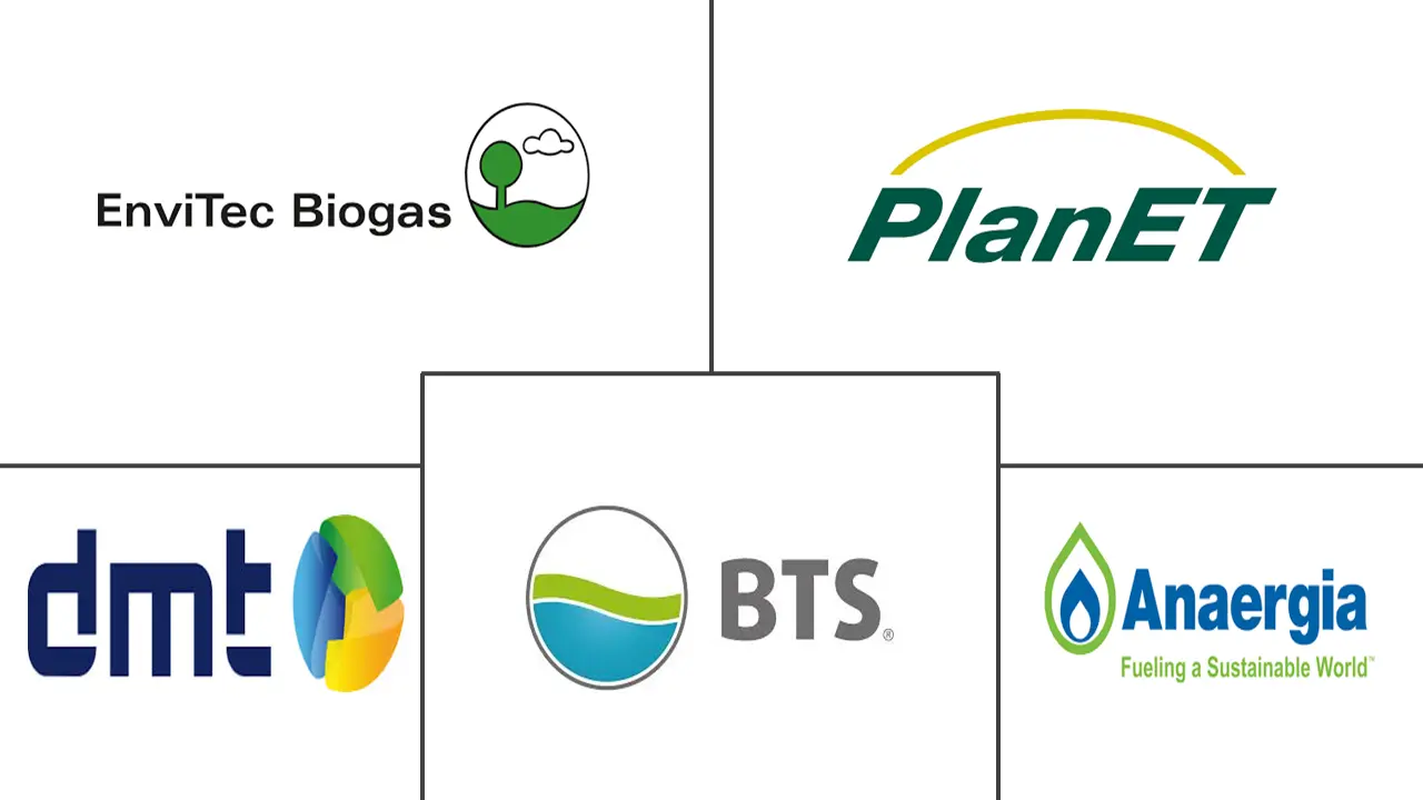 有机沼气市场规模和份额