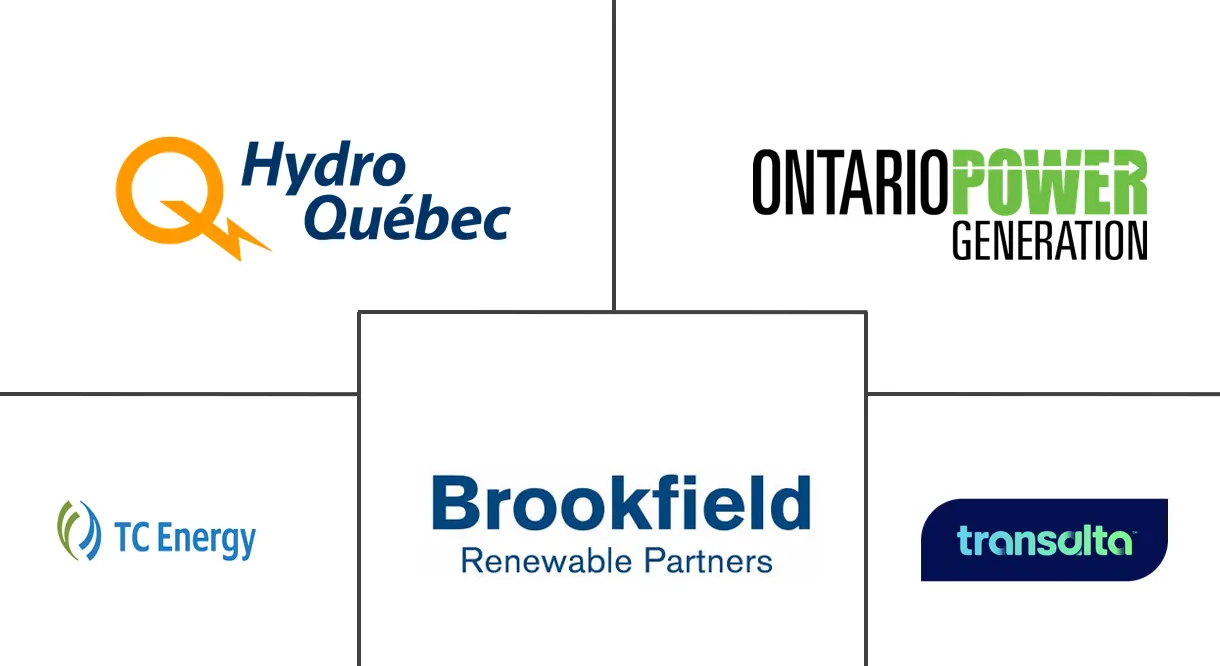 加拿大电力市场规模和份额