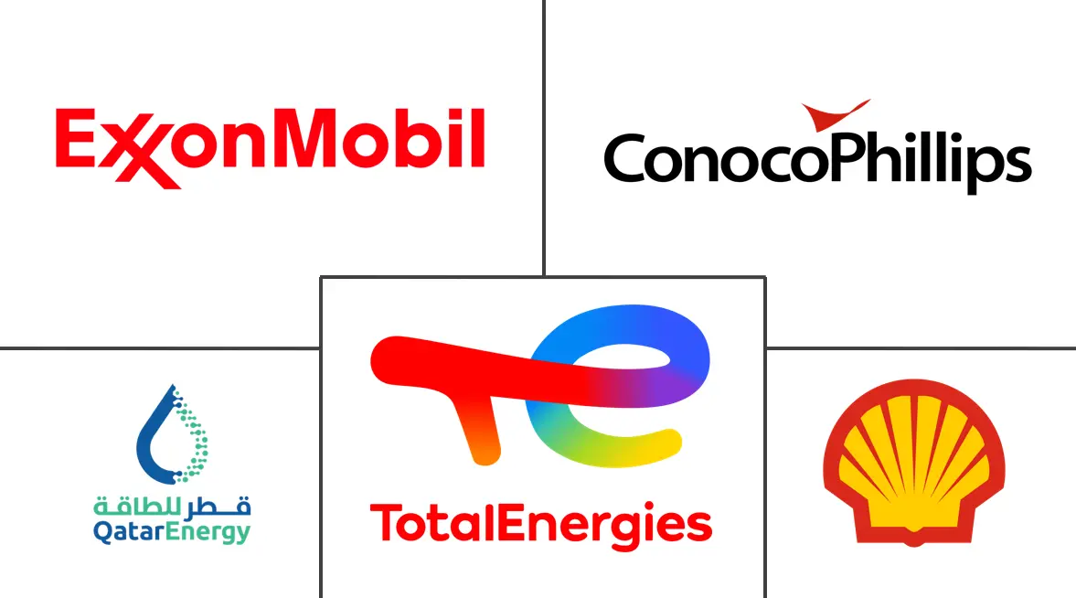 卡塔尔石油和天然气市场规模和份额