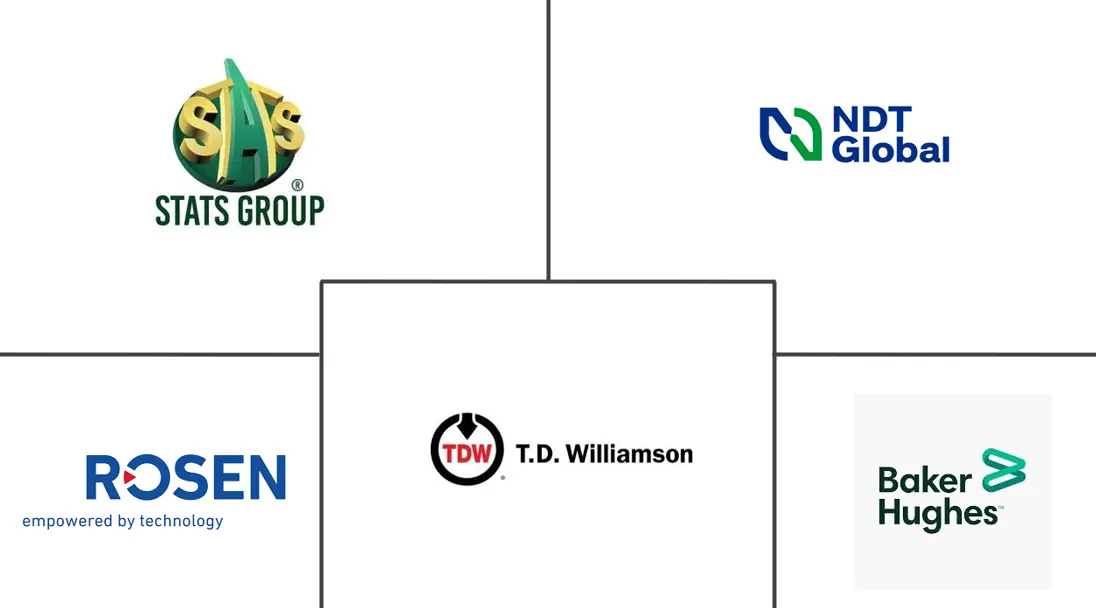 管道清管服务市场规模和份额