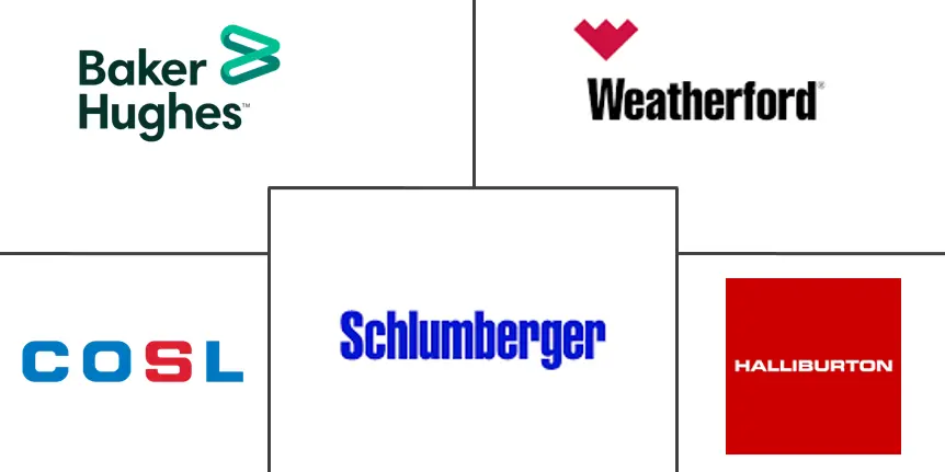 试井服务市场规模和份额