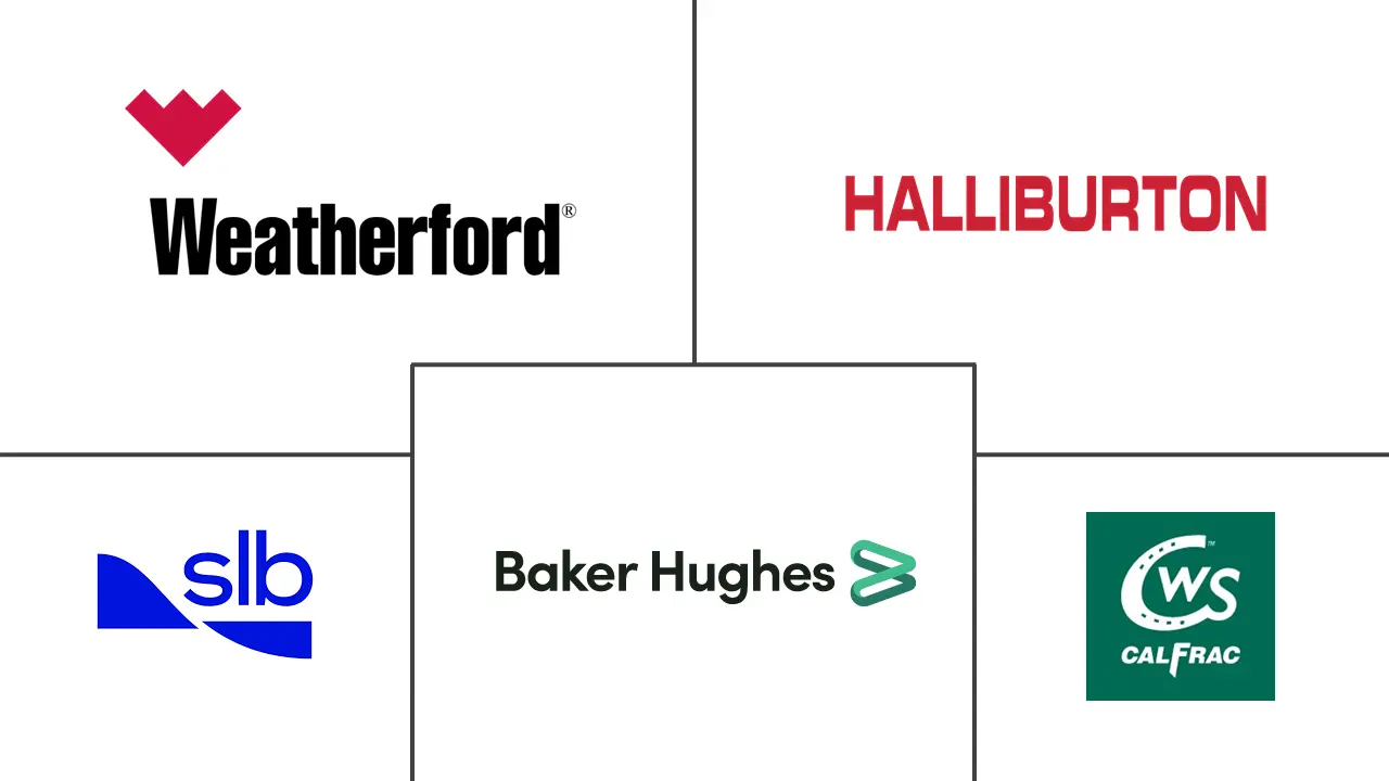 连续油管服务市场规模和份额