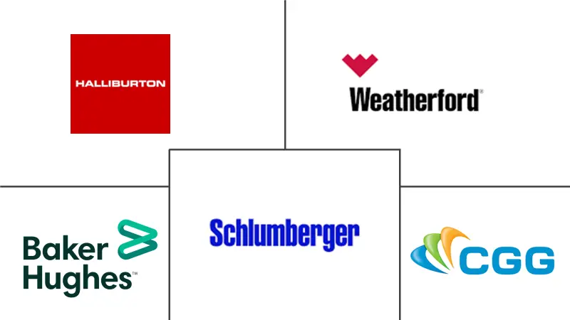 油藏分析市场规模和份额
