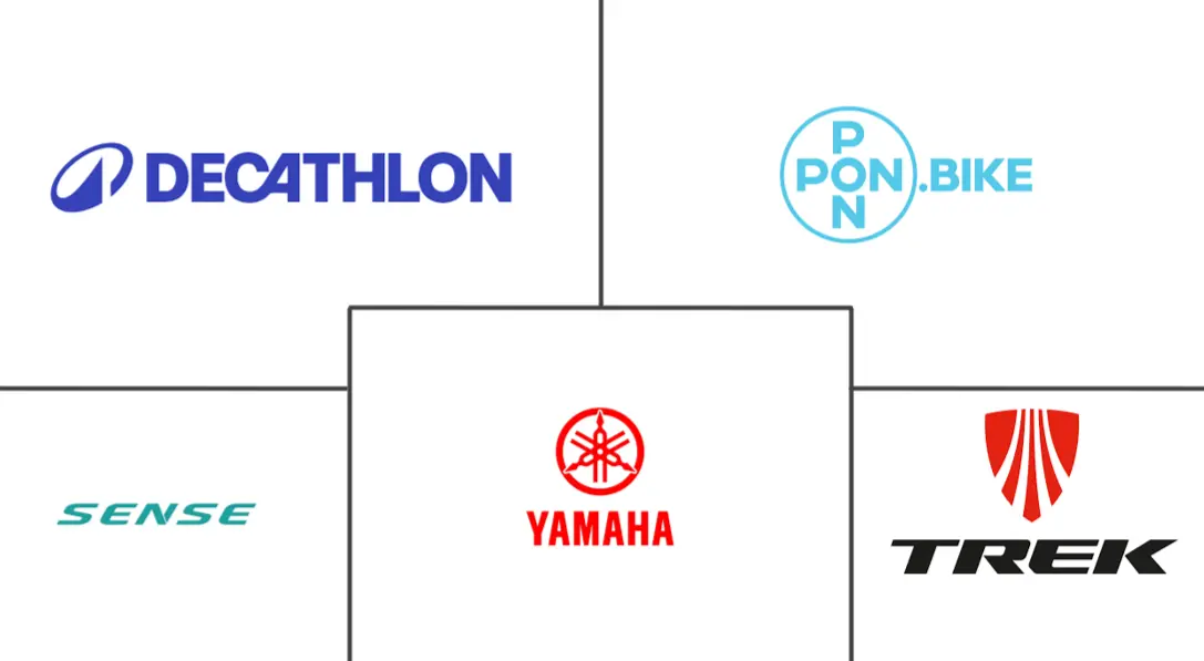 巴西电动自行车市场规模及份额