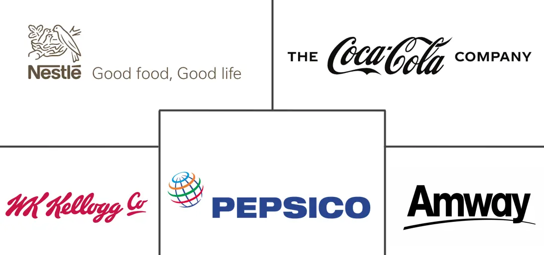 维生素强化和矿物质丰富的食品和饮料市场规模和份额分析