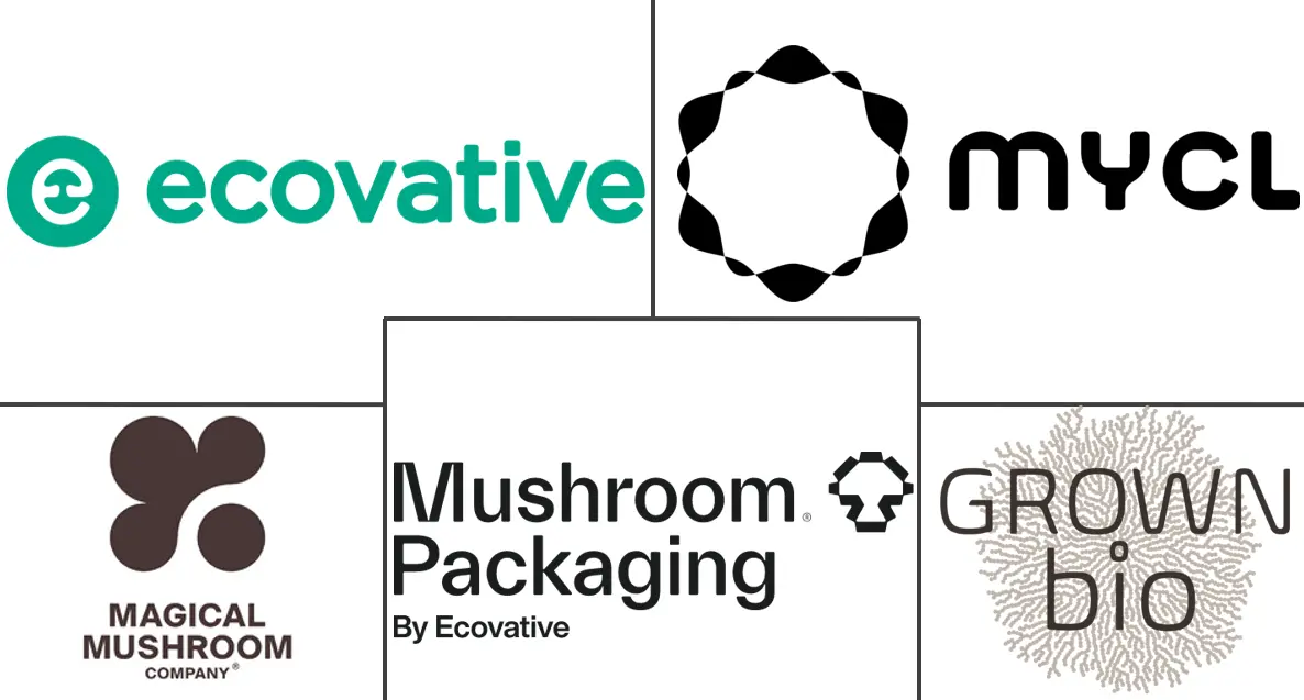 菌丝体纸包装市场规模和份额