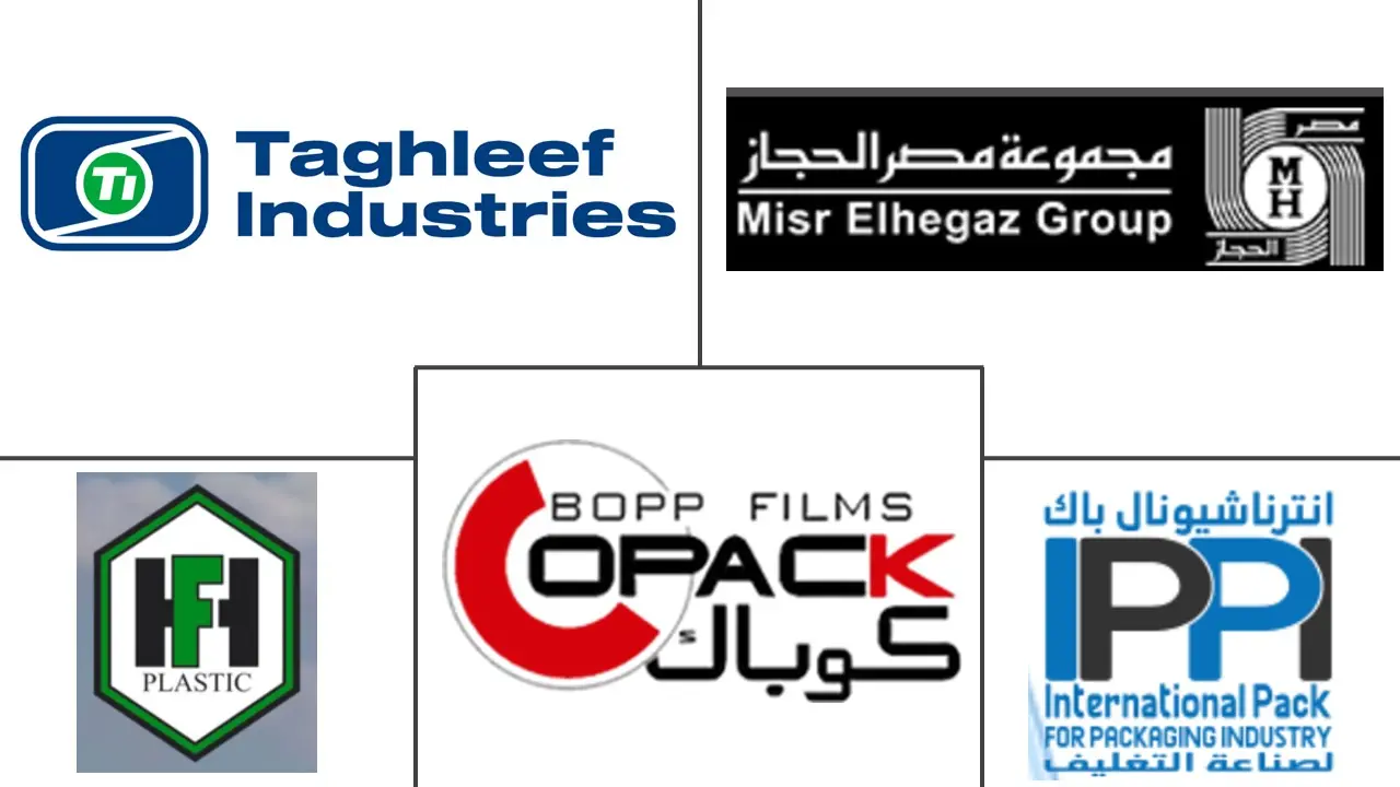 埃及塑料包装薄膜市场规模